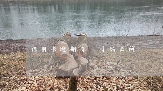 信用卡逾期了 可以去问 信用卡逾期了 可以去问